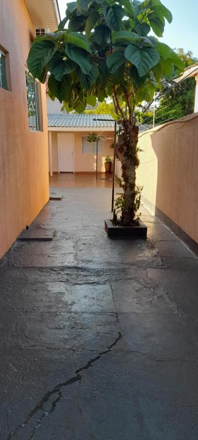 Quitinete ótima localização Apartamento Foz do Iguaçu Exterior foto